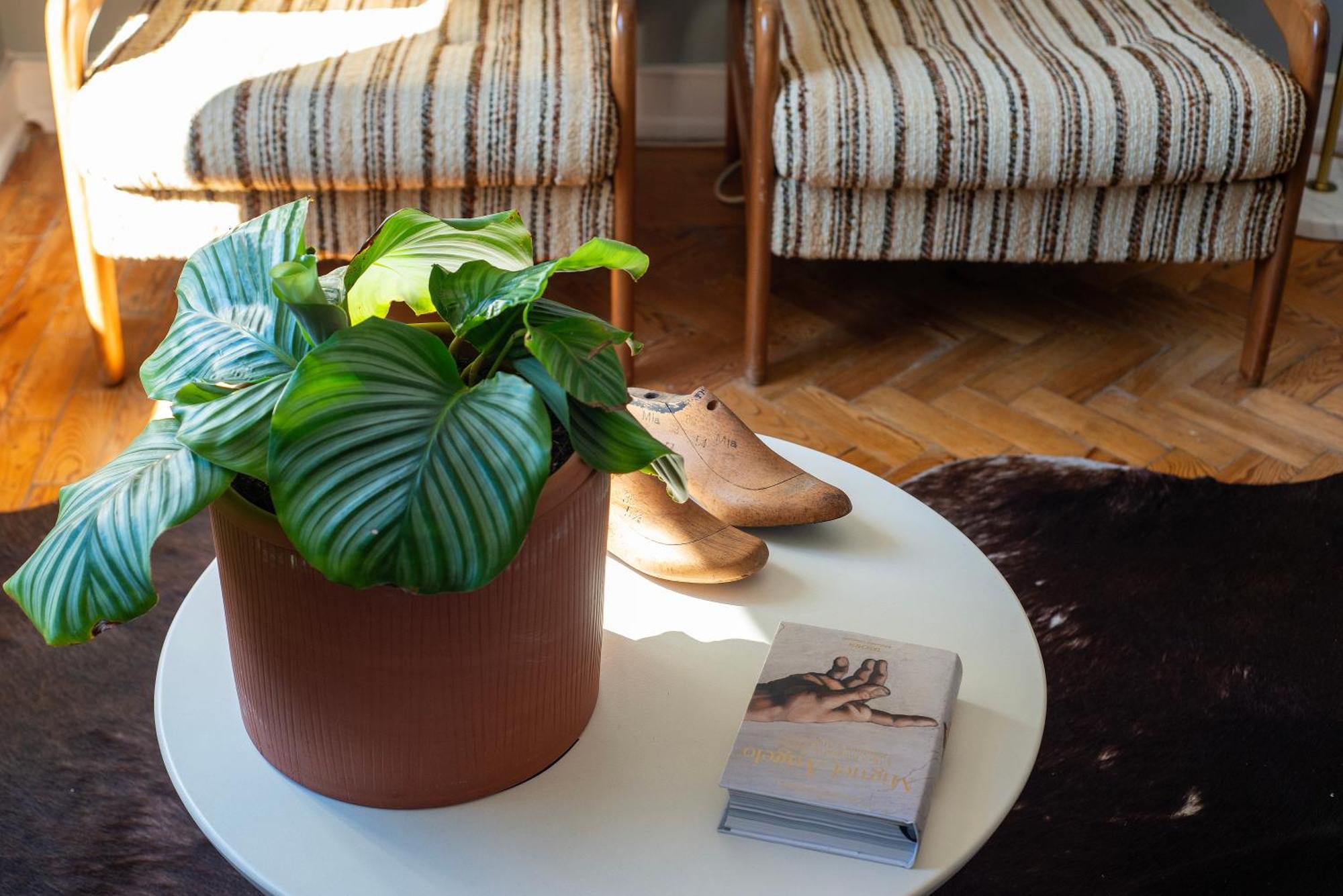 Graca - Castle | Lisbon Cheese & Wine Apartments Εξωτερικό φωτογραφία